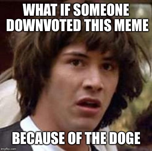 Conspiracy Keanu Meme | WHAT IF SOMEONE DOWNVOTED THIS MEME BECAUSE OF THE DOGE | image tagged in memes,conspiracy keanu | made w/ Imgflip meme maker