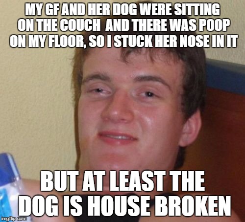 10 Guy Meme | MY GF AND HER DOG WERE SITTING ON THE COUCH  AND THERE WAS POOP ON MY FLOOR, SO I STUCK HER NOSE IN IT; BUT AT LEAST THE DOG IS HOUSE BROKEN | image tagged in memes,10 guy | made w/ Imgflip meme maker