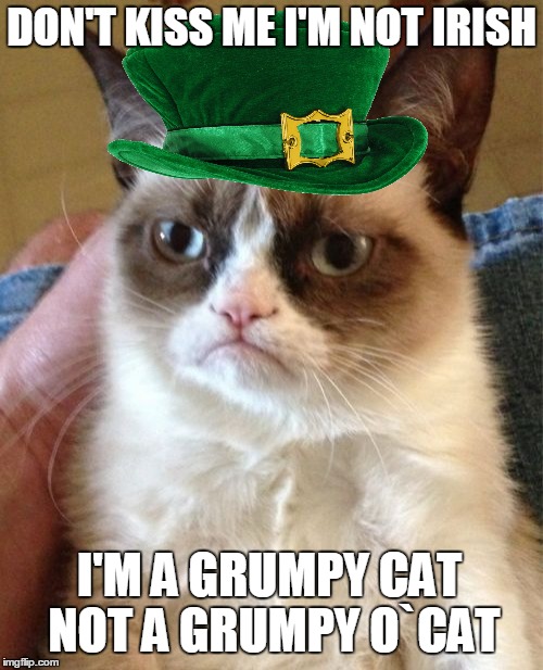 Grumpy Cat Meme | DON'T KISS ME I'M NOT IRISH; I'M A GRUMPY CAT NOT A GRUMPY O`CAT | image tagged in memes,grumpy cat | made w/ Imgflip meme maker