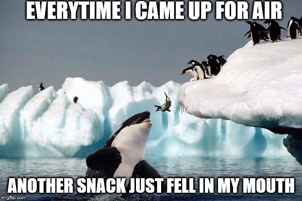 EVERYTIME I CAME UP FOR AIR ANOTHER SNACK JUST FELL IN MY MOUTH | made w/ Imgflip meme maker