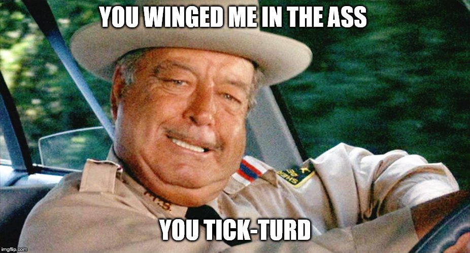 YOU WINGED ME IN THE ASS YOU TICK-TURD | made w/ Imgflip meme maker