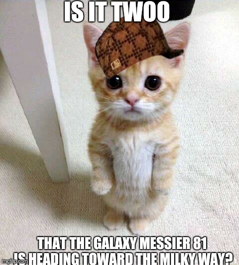 Cute Cat Meme | IS IT TWOO; THAT THE GALAXY MESSIER 81 IS HEADING TOWARD THE MILKY WAY? | image tagged in memes,cute cat,scumbag | made w/ Imgflip meme maker
