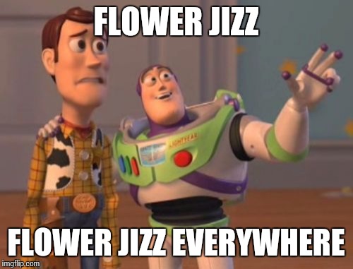 X, X Everywhere Meme | FLOWER JIZZ; FLOWER JIZZ EVERYWHERE | image tagged in memes,x x everywhere | made w/ Imgflip meme maker