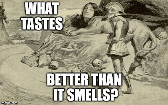 Riddles and Brainteasers | WHAT TASTES; BETTER THAN IT SMELLS? | image tagged in riddles and brainteasers | made w/ Imgflip meme maker