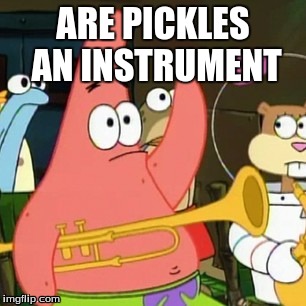 No Patrick | ARE PICKLES AN INSTRUMENT | image tagged in memes,no patrick | made w/ Imgflip meme maker