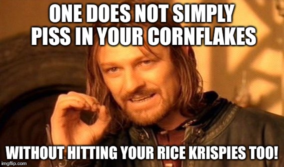 One Does Not Simply Meme | ONE DOES NOT SIMPLY PISS IN YOUR CORNFLAKES; WITHOUT HITTING YOUR RICE KRISPIES TOO! | image tagged in memes,one does not simply | made w/ Imgflip meme maker