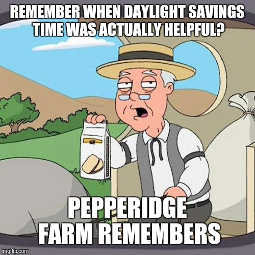 Change my clocks again? | REMEMBER WHEN DAYLIGHT SAVINGS TIME WAS ACTUALLY HELPFUL? PEPPERIDGE FARM REMEMBERS | image tagged in memes,pepperidge farm remembers,daylight savings time,annoying | made w/ Imgflip meme maker