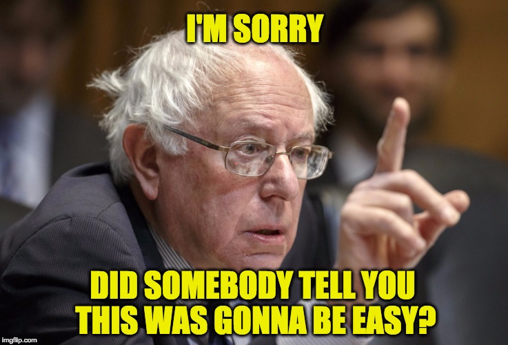 I'M SORRY; DID SOMEBODY TELL YOU THIS WAS GONNA BE EASY? | image tagged in bernie sanders | made w/ Imgflip meme maker