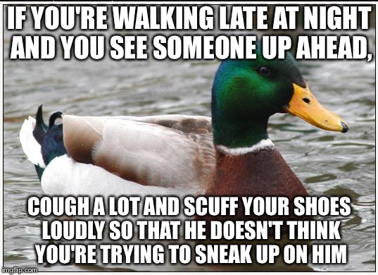 Actual Advice Mallard Meme | IF YOU'RE WALKING LATE AT NIGHT AND YOU SEE SOMEONE UP AHEAD, COUGH A LOT AND SCUFF YOUR SHOES LOUDLY SO THAT HE DOESN'T THINK YOU'RE TRYING TO SNEAK UP ON HIM | image tagged in memes,actual advice mallard | made w/ Imgflip meme maker