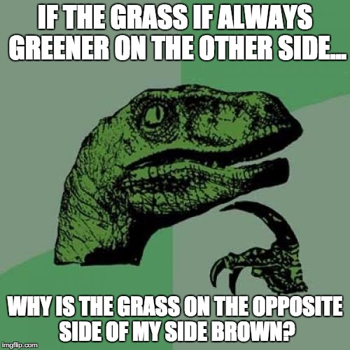 Philosoraptor | IF THE GRASS IF ALWAYS GREENER ON THE OTHER SIDE... WHY IS THE GRASS ON THE OPPOSITE SIDE OF MY SIDE BROWN? | image tagged in memes,philosoraptor | made w/ Imgflip meme maker