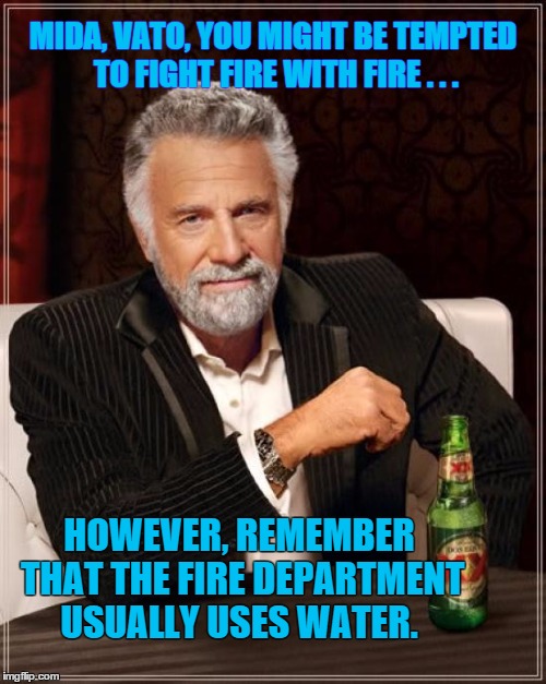 The Most Interesting Man In The World | MIDA, VATO, YOU MIGHT BE TEMPTED TO FIGHT FIRE WITH FIRE . . . HOWEVER, REMEMBER THAT THE FIRE DEPARTMENT USUALLY USES WATER. | image tagged in memes,the most interesting man in the world,funny | made w/ Imgflip meme maker