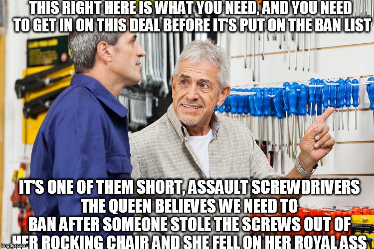 THIS RIGHT HERE IS WHAT YOU NEED, AND YOU NEED TO GET IN ON THIS DEAL BEFORE IT'S PUT ON THE BAN LIST; IT'S ONE OF THEM SHORT, ASSAULT SCREWDRIVERS THE QUEEN BELIEVES WE NEED TO BAN AFTER SOMEONE STOLE THE SCREWS OUT OF HER ROCKING CHAIR AND SHE FELL ON HER ROYAL ASS | image tagged in choosing tools | made w/ Imgflip meme maker