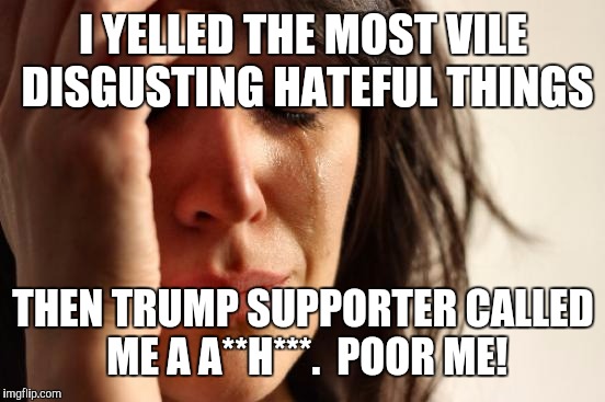 First World Problems Meme | I YELLED THE MOST VILE DISGUSTING HATEFUL THINGS THEN TRUMP SUPPORTER CALLED ME A A**H***.  POOR ME! | image tagged in memes,first world problems | made w/ Imgflip meme maker