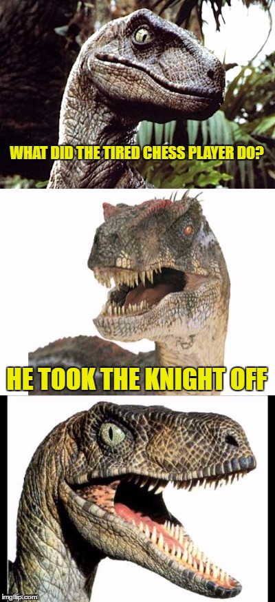 Bad Pun Velociraptor | WHAT DID THE TIRED CHESS PLAYER DO? HE TOOK THE KNIGHT OFF | image tagged in bad pun velociraptor | made w/ Imgflip meme maker