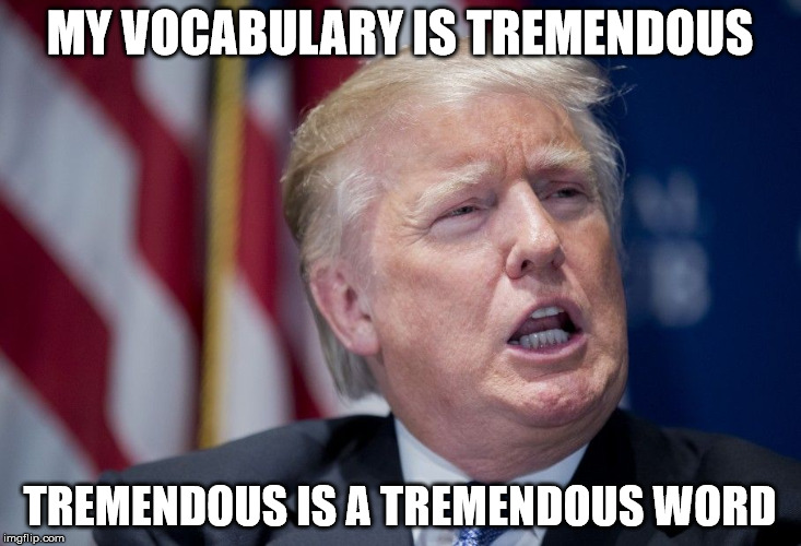 Donald Trump Derp | MY VOCABULARY IS TREMENDOUS; TREMENDOUS IS A TREMENDOUS WORD | image tagged in donald trump derp | made w/ Imgflip meme maker