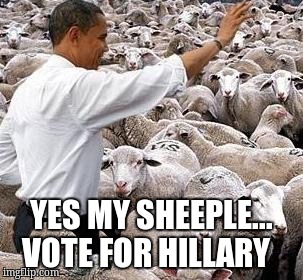 obama sheep | YES MY SHEEPLE... VOTE FOR HILLARY | image tagged in obama sheep | made w/ Imgflip meme maker
