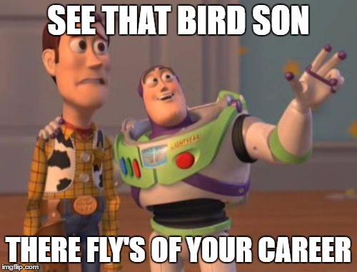 X, X Everywhere | SEE THAT BIRD SON; THERE FLY'S OF YOUR CAREER | image tagged in memes,x x everywhere | made w/ Imgflip meme maker