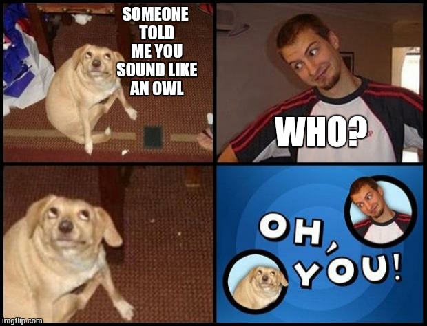 Who?  | SOMEONE TOLD ME YOU SOUND LIKE AN OWL; WHO? | image tagged in oh you | made w/ Imgflip meme maker
