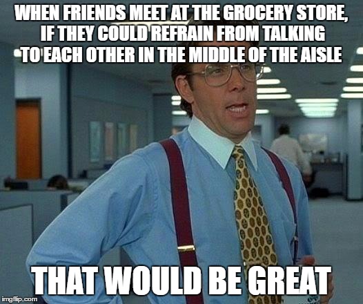 grocery store tip | WHEN FRIENDS MEET AT THE GROCERY STORE, IF THEY COULD REFRAIN FROM TALKING TO EACH OTHER IN THE MIDDLE OF THE AISLE; THAT WOULD BE GREAT | image tagged in memes,that would be great,grocery store | made w/ Imgflip meme maker