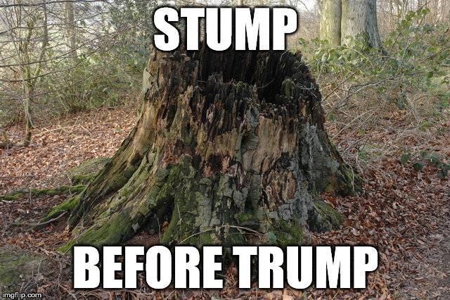 STUMP; BEFORE TRUMP | image tagged in stump before trump | made w/ Imgflip meme maker