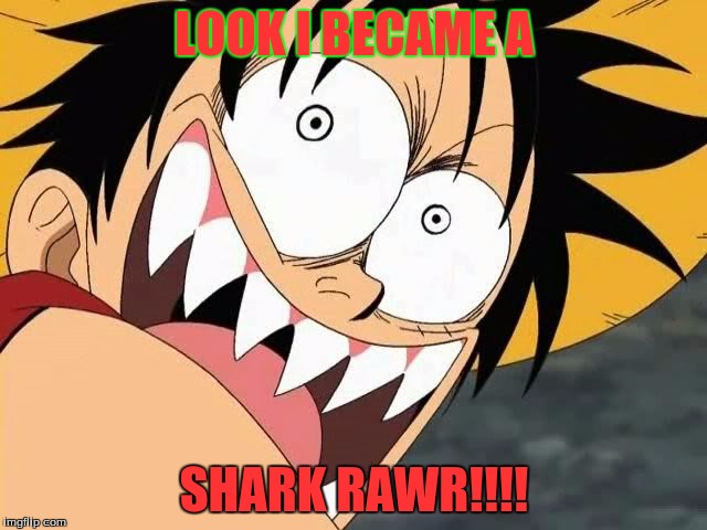 LOOK I BECAME A; SHARK RAWR!!!! | image tagged in look | made w/ Imgflip meme maker