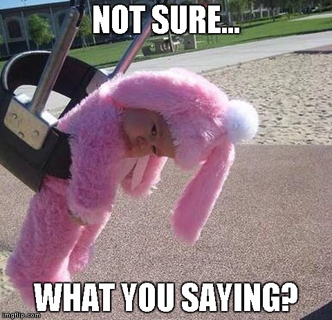 NOT SURE... WHAT YOU SAYING? | image tagged in bunny swing | made w/ Imgflip meme maker