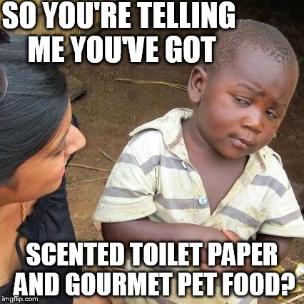 Third World Skeptical Kid | SO YOU'RE TELLING ME YOU'VE GOT; SCENTED TOILET PAPER AND GOURMET PET FOOD? | image tagged in memes,third world skeptical kid | made w/ Imgflip meme maker