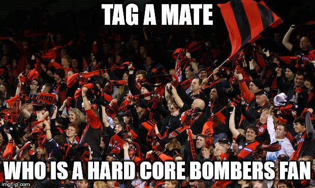 TAG A MATE; WHO IS A HARD CORE BOMBERS FAN | image tagged in afl | made w/ Imgflip meme maker
