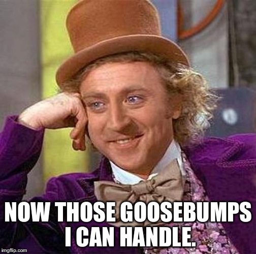 Creepy Condescending Wonka Meme | NOW THOSE GOOSEBUMPS I CAN HANDLE. | image tagged in memes,creepy condescending wonka | made w/ Imgflip meme maker