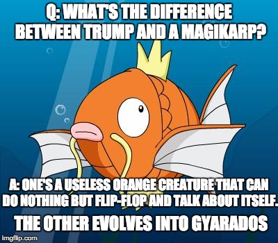 Magikarp | Q: WHAT'S THE DIFFERENCE BETWEEN TRUMP AND A MAGIKARP? A: ONE'S A USELESS ORANGE CREATURE THAT CAN DO NOTHING BUT FLIP-FLOP AND TALK ABOUT ITSELF. THE OTHER EVOLVES INTO GYARADOS | image tagged in magikarp | made w/ Imgflip meme maker