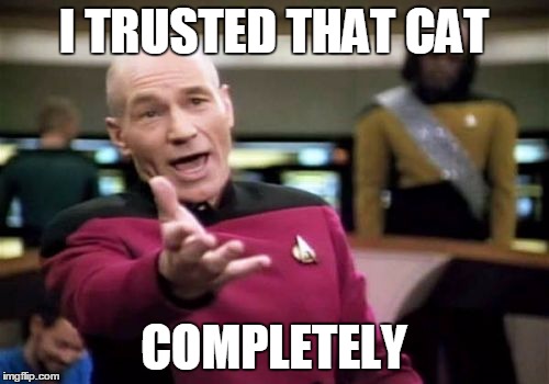 Picard Wtf Meme | I TRUSTED THAT CAT COMPLETELY | image tagged in memes,picard wtf | made w/ Imgflip meme maker