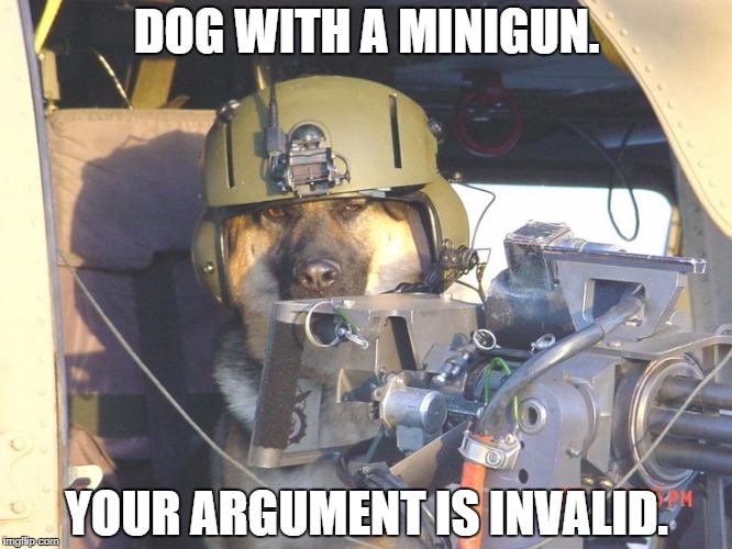 DOG WITH A MINIGUN. YOUR ARGUMENT IS INVALID. | image tagged in invalid argument | made w/ Imgflip meme maker
