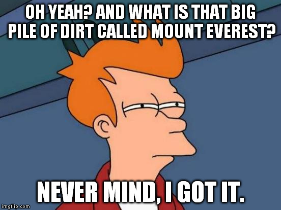 Futurama Fry Meme | OH YEAH? AND WHAT IS THAT BIG PILE OF DIRT CALLED MOUNT EVEREST? NEVER MIND, I GOT IT. | image tagged in memes,futurama fry | made w/ Imgflip meme maker