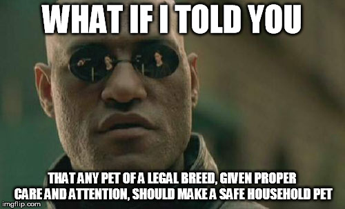 Matrix Morpheus Meme | WHAT IF I TOLD YOU THAT ANY PET OF A LEGAL BREED, GIVEN PROPER CARE AND ATTENTION, SHOULD MAKE A SAFE HOUSEHOLD PET | image tagged in memes,matrix morpheus | made w/ Imgflip meme maker