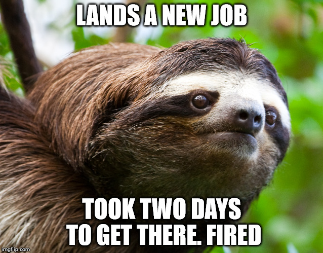 SadSloth | LANDS A NEW JOB; TOOK TWO DAYS TO GET THERE. FIRED | image tagged in sadsloth | made w/ Imgflip meme maker