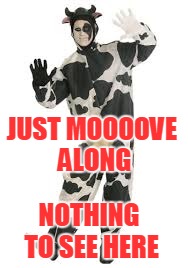 JUST MOOOOVE ALONG NOTHING TO SEE HERE | made w/ Imgflip meme maker