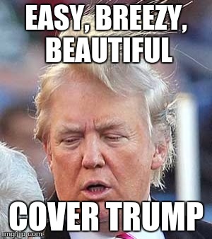 EASY, BREEZY, BEAUTIFUL; COVER TRUMP | image tagged in donald trump,memes | made w/ Imgflip meme maker