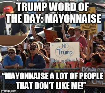 TRUMP WORD OF THE DAY: MAYONNAISE; “MAYONNAISE A LOT OF PEOPLE THAT DON’T LIKE ME!” | image tagged in donald trump | made w/ Imgflip meme maker