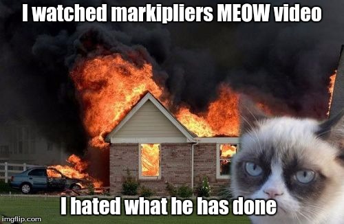 Burn Kitty Meme | I watched markipliers MEOW video; I hated what he has done | image tagged in memes,burn kitty | made w/ Imgflip meme maker