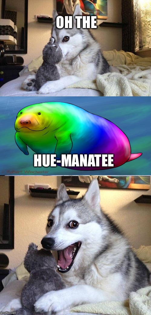 Bad Pun Dog Meme | OH THE; HUE-MANATEE | image tagged in memes,bad pun dog | made w/ Imgflip meme maker
