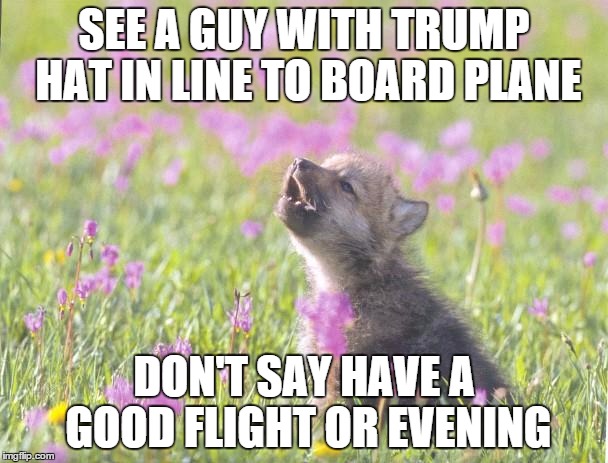 Baby Insanity Wolf | SEE A GUY WITH TRUMP HAT IN LINE TO BOARD PLANE; DON'T SAY HAVE A GOOD FLIGHT OR EVENING | image tagged in memes,baby insanity wolf,AdviceAnimals | made w/ Imgflip meme maker