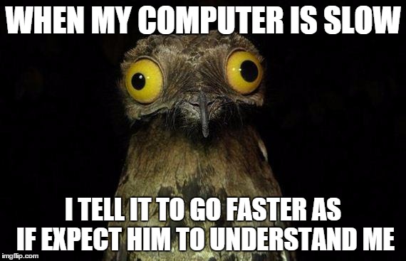 Weird Stuff I Do Potoo Meme | WHEN MY COMPUTER IS SLOW; I TELL IT TO GO FASTER AS IF EXPECT HIM TO UNDERSTAND ME | image tagged in memes,weird stuff i do potoo,computer,slow | made w/ Imgflip meme maker