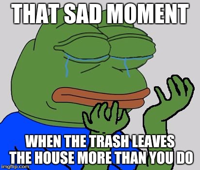 pepe cry | THAT SAD MOMENT; WHEN THE TRASH LEAVES THE HOUSE MORE THAN YOU DO | image tagged in pepe cry | made w/ Imgflip meme maker