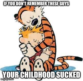 Calvin and Hobbes | IF YOU DON'T REMEMBER THESE GUYS; YOUR CHILDHOOD SUCKED | image tagged in calvin and hobbes | made w/ Imgflip meme maker