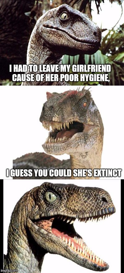 Bad Pun Velociraptor | I HAD TO LEAVE MY GIRLFRIEND CAUSE OF HER POOR HYGIENE, I GUESS YOU COULD SHE'S EXTINCT | image tagged in bad pun velociraptor | made w/ Imgflip meme maker