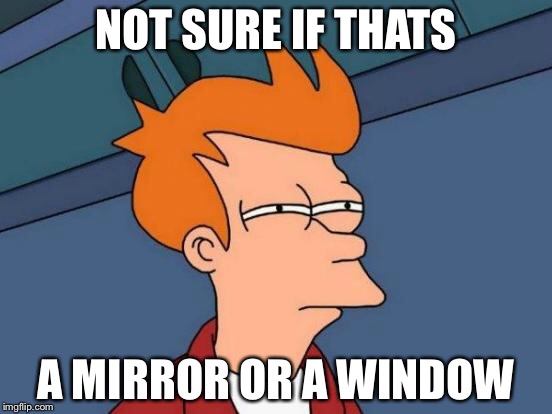 Futurama Fry | NOT SURE IF THATS; A MIRROR OR A WINDOW | image tagged in memes,futurama fry | made w/ Imgflip meme maker