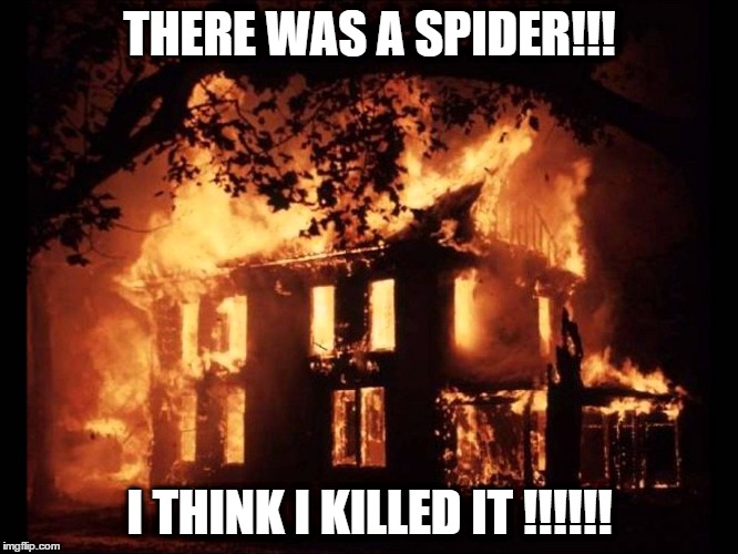 House On Fire | THERE WAS A SPIDER!!! I THINK I KILLED IT !!!!!! | image tagged in house on fire | made w/ Imgflip meme maker
