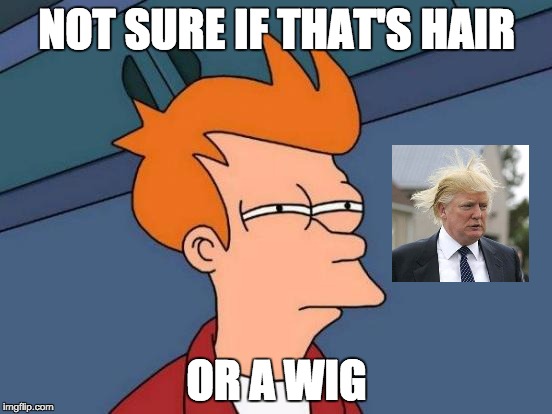 Futurama Fry | NOT SURE IF THAT'S HAIR; OR A WIG | image tagged in memes,futurama fry | made w/ Imgflip meme maker