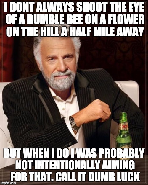 The Most Interesting Man In The World | I DONT ALWAYS SHOOT THE EYE OF A BUMBLE BEE ON A FLOWER ON THE HILL A HALF MILE AWAY; BUT WHEN I DO I WAS PROBABLY NOT INTENTIONALLY AIMING FOR THAT. CALL IT DUMB LUCK | image tagged in memes,the most interesting man in the world | made w/ Imgflip meme maker