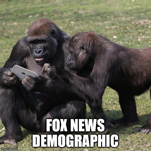 FOX NEWS DEMOGRAPHIC | made w/ Imgflip meme maker